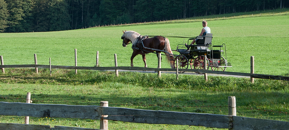 Gruess Gott - Ferienwohnungen Festlhof in Rottach-Egern am Tegernsee