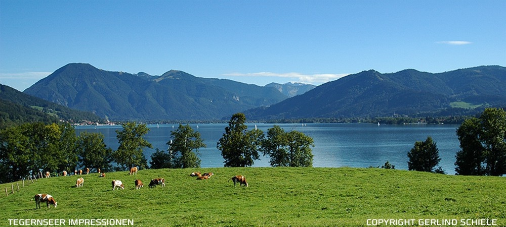 Anreise - Ferienwohnungen Festlhof in Rottach-Egern am Tegernsee