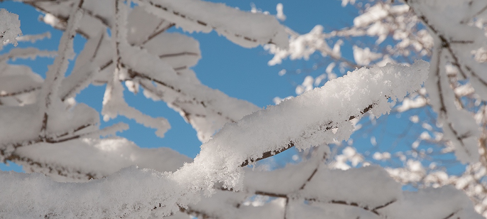 Winter Märchenland rund um den Festlhof in Rottach-Egern am Tegernsee