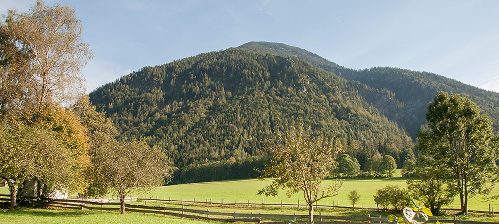 Garten mit Hütte Festlhof in Rottach-Egern am Tegernsee