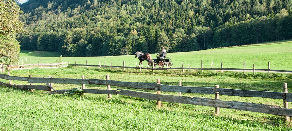 Garten mit Hütte Festlhof in Rottach-Egern am Tegernsee