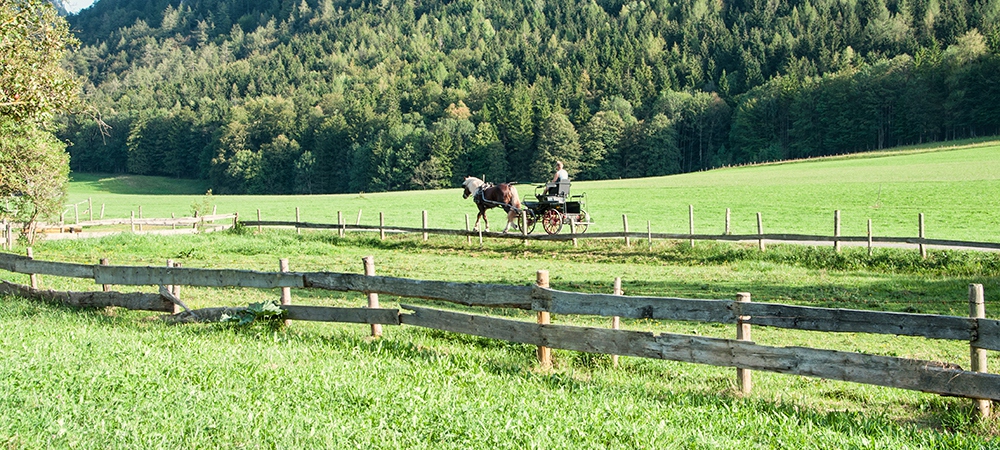 Garten mit Hütte Festlhof in Rottach-Egern am Tegernsee